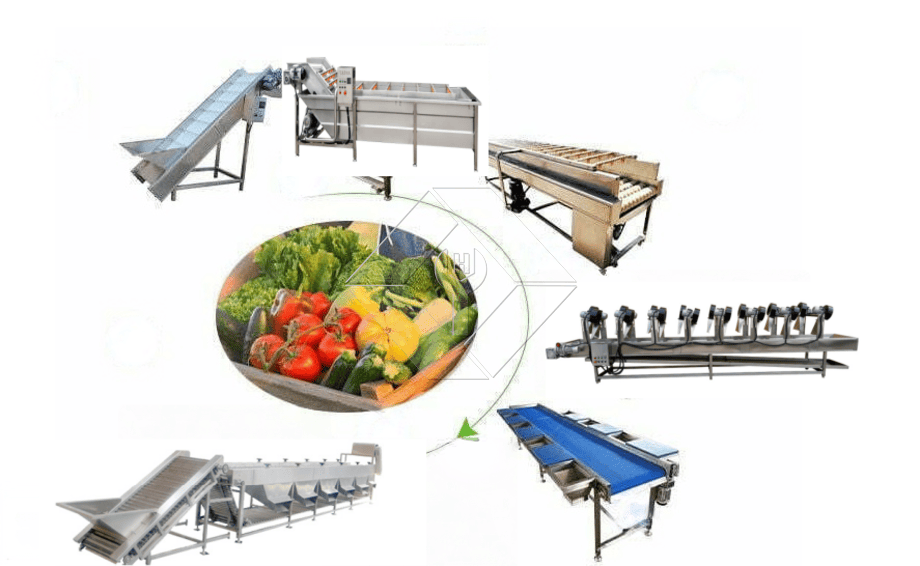 Uwezo wa Usindikaji wa Kuosha na Kukausha na Kukausha Mstari wa Matunda na Mboga Kiotomatiki kwa ujumla ni Kati ya 300kg/H na 3000kg/H. Uwezo wa Usindikaji wa Kuosha na Kukausha na Kukausha Mstari wa Matunda na Mboga Kiotomatiki kwa ujumla ni Kati ya 300kg/H na 3000kg/H.