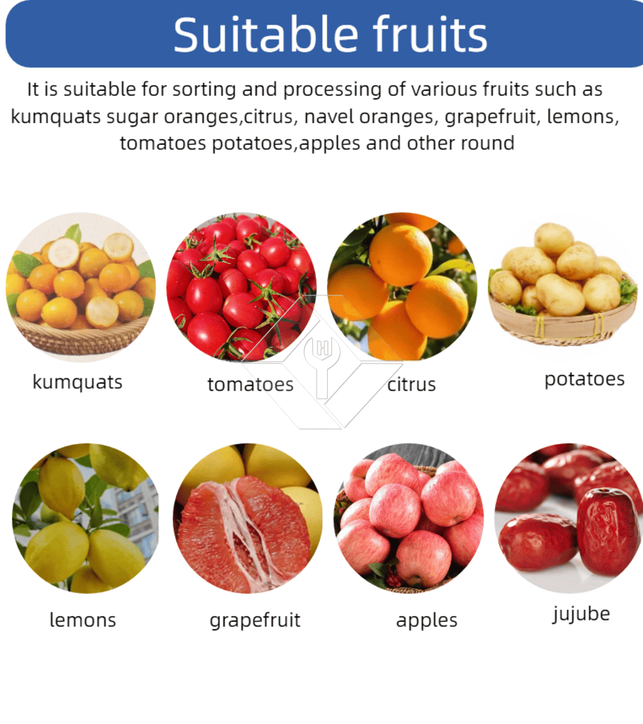 Mashine ya Kupanga Kibiashara ya Kupanga Kiotomatiki ya Cherry Nyanya ya Kitunguu saumu ya Kupanga Mashine ya Kupanga Matunda.