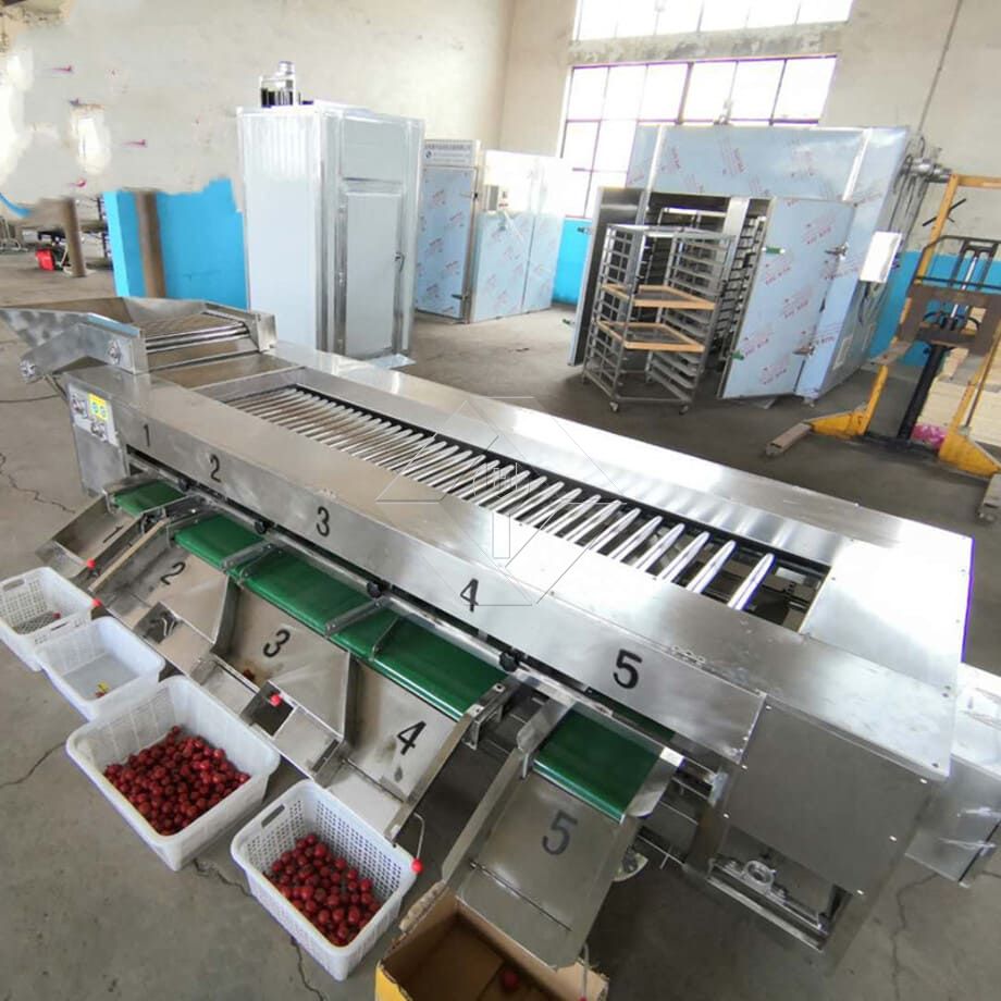 Uwezo wa Usindikaji wa Kuosha na Kukausha na Kukausha Mstari wa Matunda na Mboga Kiotomatiki kwa ujumla ni Kati ya 300kg/H na 3000kg/H. Uwezo wa Usindikaji wa Kuosha na Kukausha na Kukausha Mstari wa Matunda na Mboga Kiotomatiki kwa ujumla ni Kati ya 300kg/H na 3000kg/H.