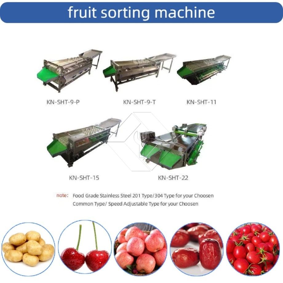Mashine ya Kupanga Kibiashara ya Kupanga Kiotomatiki ya Cherry Nyanya ya Kitunguu saumu ya Kupanga Mashine ya Kupanga Matunda. Mashine ya Kupanga Kibiashara ya Kupanga Kiotomatiki ya Cherry Nyanya ya Kitunguu saumu ya Kupanga Mashine ya Kupanga Matunda.