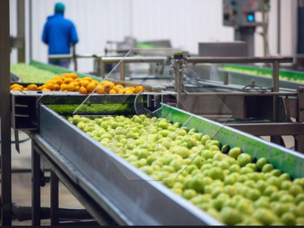 Uwezo wa Usindikaji wa Kuosha na Kukausha na Kukausha Mstari wa Matunda na Mboga Kiotomatiki kwa ujumla ni Kati ya 300kg/H na 3000kg/H. Uwezo wa Usindikaji wa Kuosha na Kukausha na Kukausha Mstari wa Matunda na Mboga Kiotomatiki kwa ujumla ni Kati ya 300kg/H na 3000kg/H.